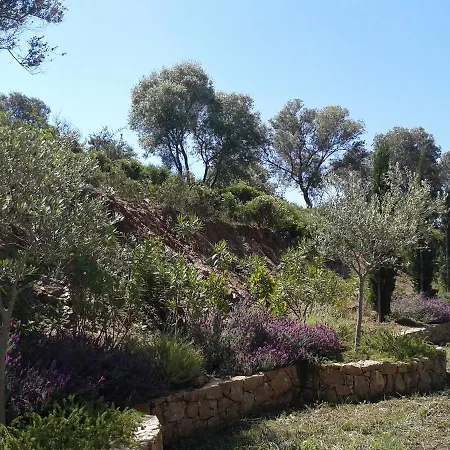 Holiday home Marvelous Sea View Eco *
